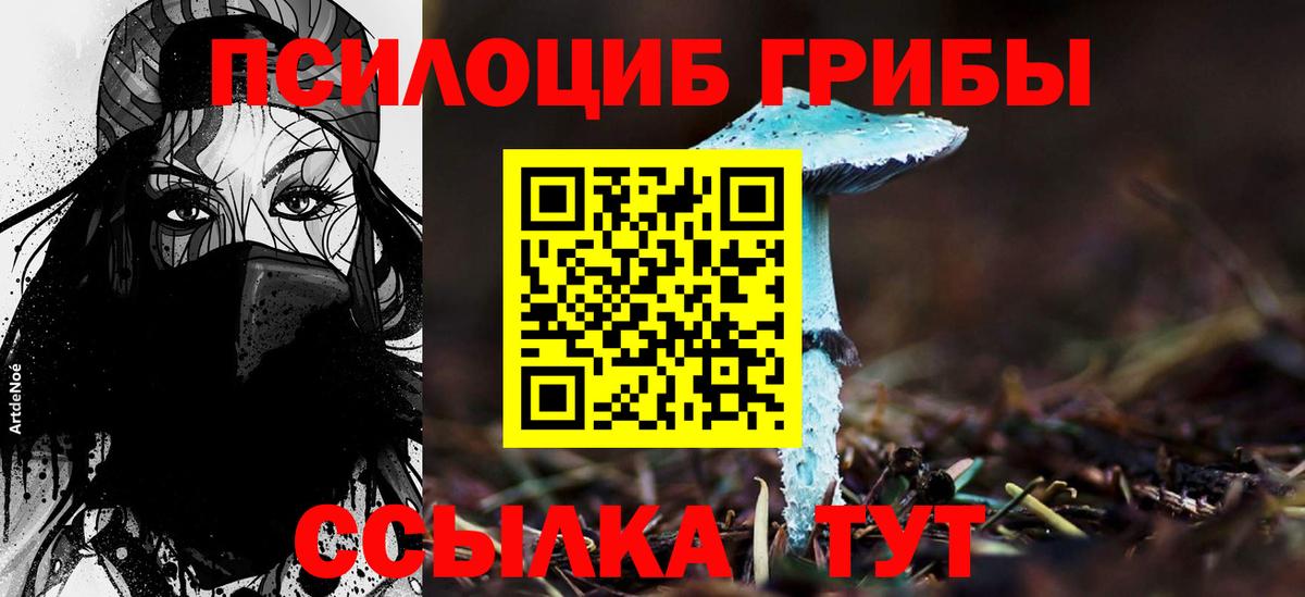 Галлюциногенные грибы MAGIC MUSHROOMS Алапаевск