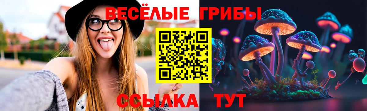 Алапаевск  Псилоцибиновые грибы прущие грибы  купить   Галлюциногенные грибы прущие грибы  Вход с VPN 